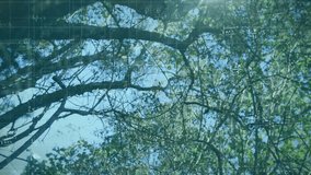 Mathematical equations and formulas animation over tree branches and blue sky. Nature, mathematics, science, technology, environment, education - Powered by Shutterstock - Get 15% off with code: PIKWIZARD15