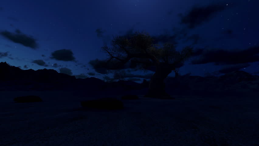 Solitary tree at night, camera fly, timelapse clouds
