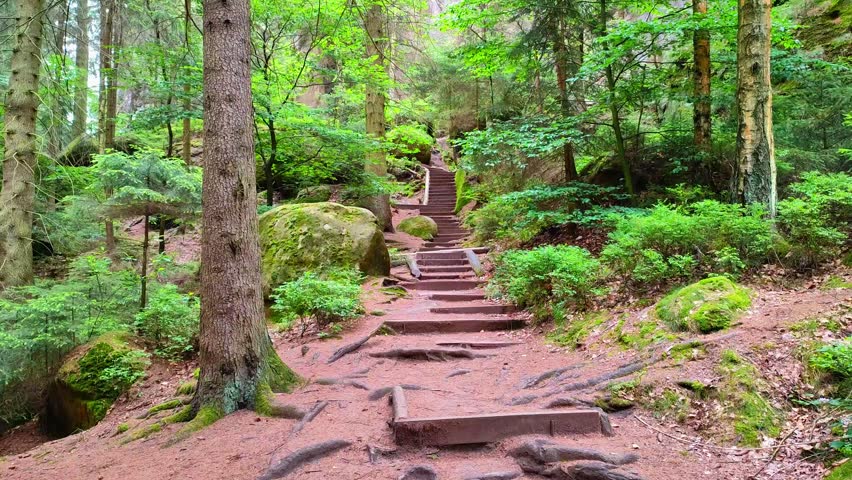 Ancient Lattengrund Canyon and hiking trail, old spruce forest at Sandstone rocks Schrammstein group in the national park Saxon Switzerland, Bad Schandau, Saxony, Germany