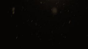 Winter snowfall. Dust Particles. Natural Floating Organic Particles On Black Background. Glittering Particles With Bokeh. Slow motion. Falling snowflakes matte slow. Christmas day, xmas. 4K. - Powered by Shutterstock - Get 15% off with code: PIKWIZARD15