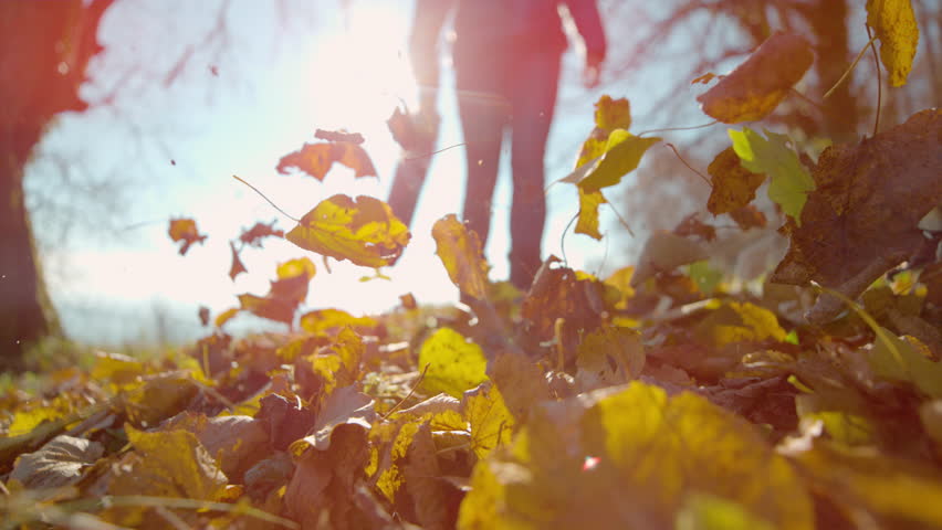 SLOW MOTION, CLOSE UP, LOW ANGLE, LENS FLARE: Female landscaper uses a leaf blower to clear the lawn on a sunny autumn day. Detailed shot of a woman using a leaf blower to clear leaves from the yard.