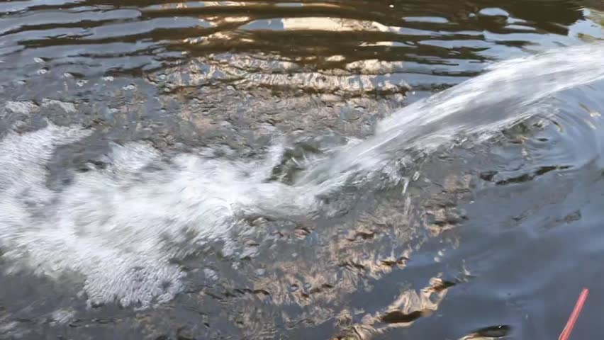 Fish pond fountain pouring out water from the pipe in the pond full of fishes. Water sprout, water splash.