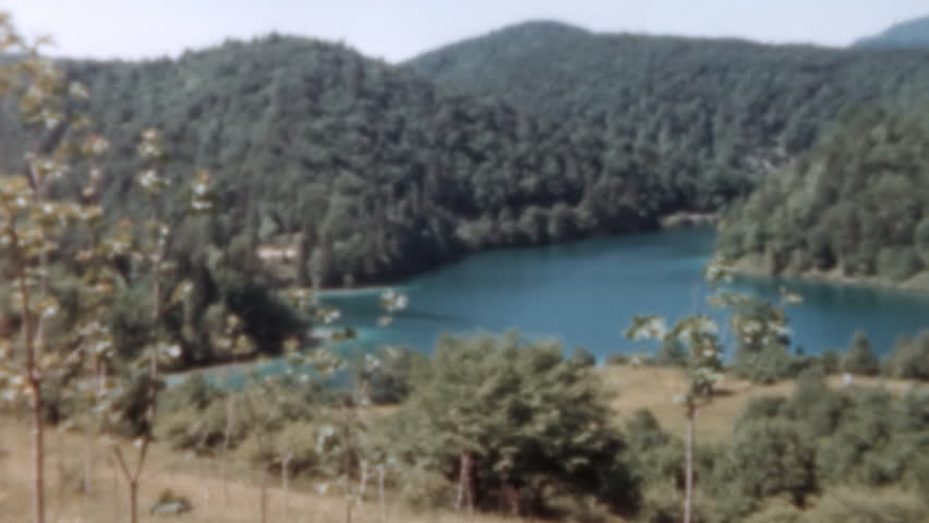 Shutterstock Video