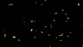 Loopable Leaves Animation on Black Background, White Background, Blue Background - Powered by Shutterstock - Get 15% off with code: PIKWIZARD15