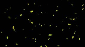 Loopable Leaves Animation on Black Background, White Background, Blue Background - Powered by Shutterstock - Get 15% off with code: PIKWIZARD15