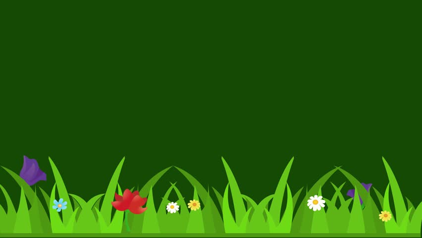 Nature green grass with colorful flowers motion graphic animation on green screen background
