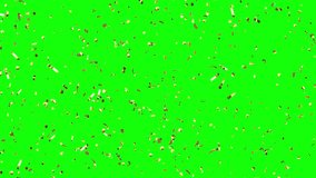 Loop Animation of Gold Confetti Falling on Green Screen - Powered by Shutterstock - Get 15% off with code: PIKWIZARD15
