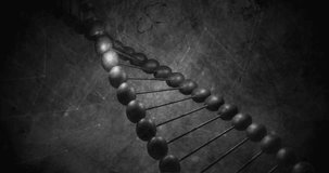 Binary code and DNA strand, scientific data processing animation. Science, technology, coding, biotechnology, genetics, information - Powered by Shutterstock - Get 15% off with code: PIKWIZARD15