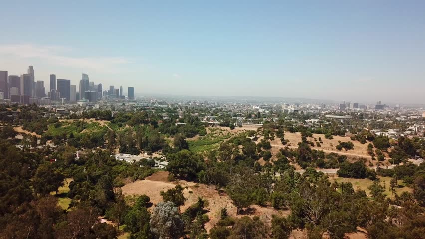 Green forest trees on hill during sunny day in Los Angeles, California. Skyline with Skyscrapers towers in background. United States of America in summer. Aerial backwards shot.