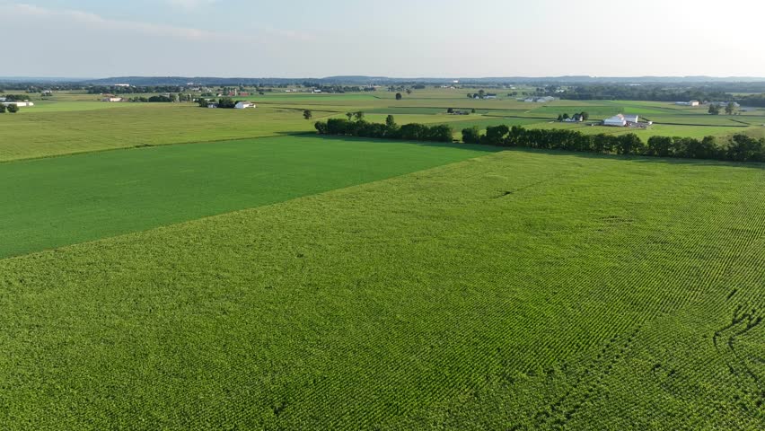 Vast green farmland stretches across rural USA. Rows of crops form intricate patterns on the landscape. A few farm buildings dot the horizon. Aerial view.