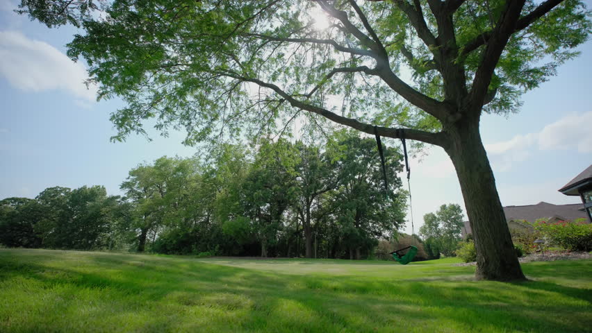 Wooden Tree Swing in a backyard. Wide shot