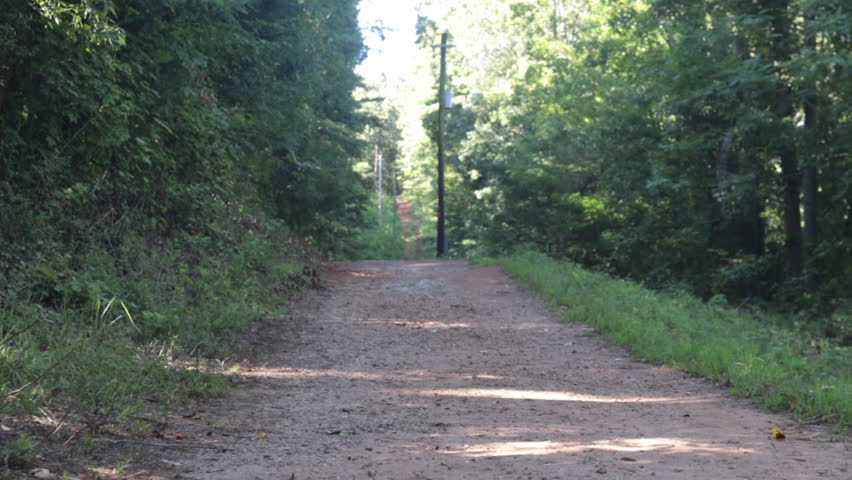 A stable gimbal shot walking through the scenic trail at Lake Herrick in Athens, Georgia, surrounded by tall trees and lush greenery, capturing the peaceful and immersive experience of a nature walk.