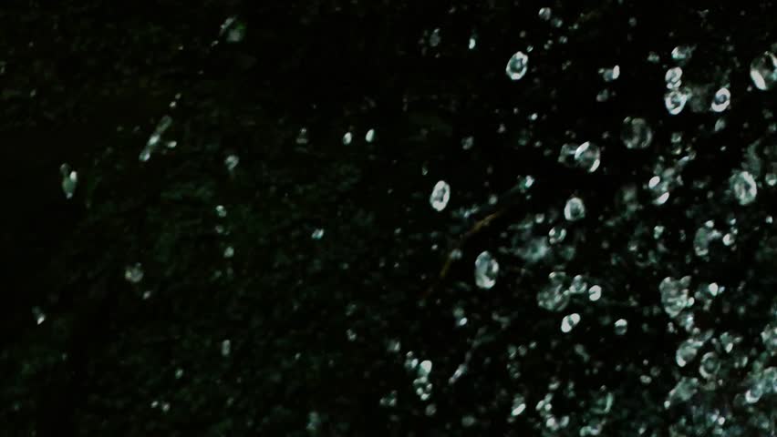 Water Bubbles against a Black Background