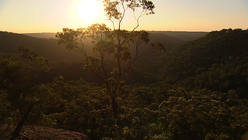 Sun rising over tree covered hills
