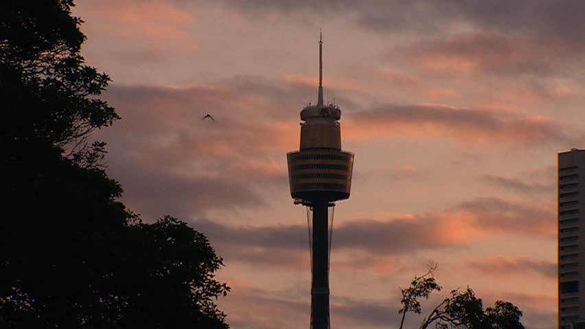 Landscape view of Sydney 