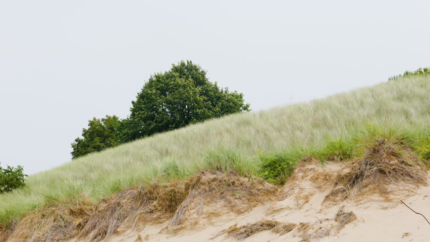 Wind blowing across dune grass on a beach near Lake Michigan. Shot in 4k