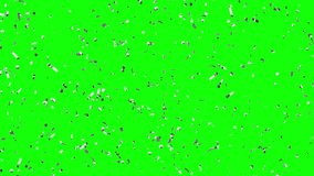 Loop Silver confetti falling over Green Screen - Powered by Shutterstock - Get 15% off with code: PIKWIZARD15