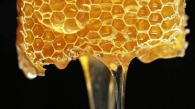 Honeycomb with honey. macro shot. close up sweet and delicious dripping honeyed HD - Powered by Shutterstock - Get 15% off with code: PIKWIZARD15