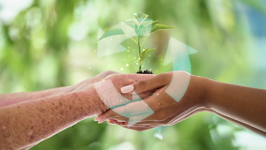 People, hands and plant with overlay in support for agriculture, sustainability or green farming. Future, innovation and women with sprout in nature for agroecology help, environment and conservation