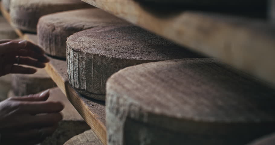 Super slow motion macro of female artisan cheesemaker controls quality of parmesan cheese during ripening process on shelves of a storehouse at production creamery dairy factory at 1000 fps.