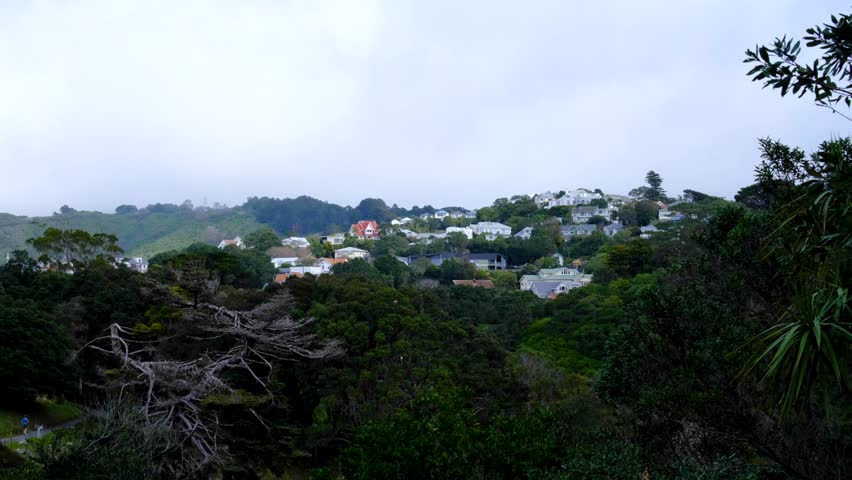Scenic view from Wellington botanic garden with kiwi houses nestled amongst forest trees in capital city of New Zealand Aotearoa