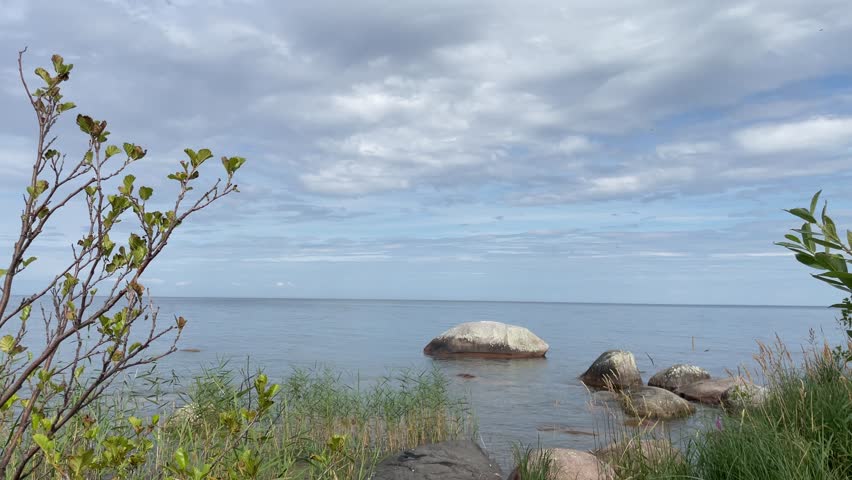 Nature at a lake during August. Hindens rev, Vänern, Sweden.