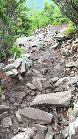 Camera moving forward revealing a rocky hiking trail