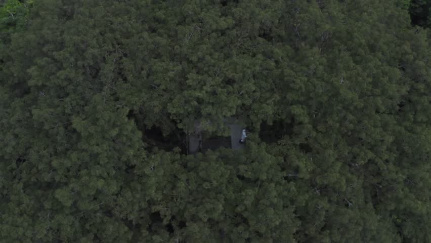 High Observation tower in the amazon rainforest, overlooking the canopy for tourists