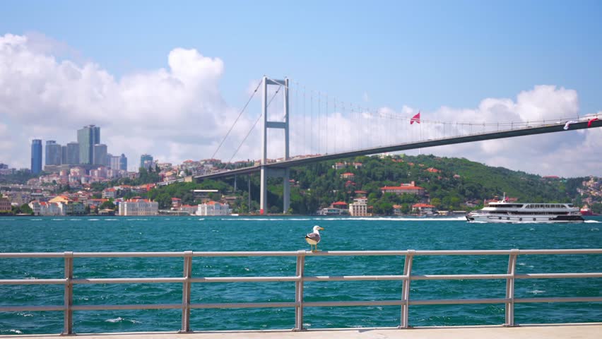 Seagull sits on a fence on the Bosphorus strait embankment. The ferry passing under the 15 July Martyrs Bridge. European side of Istanbul city in the opposite shore in the background