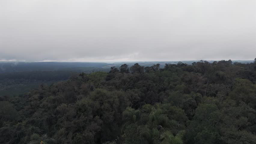 Dense rainforest under a cloudy sky with distant fog and mist, aerial view