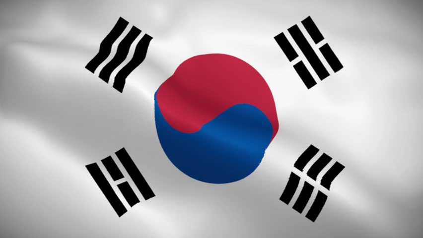 South Korea flag waving in the wind animation background. High quality 4K seamless loop video