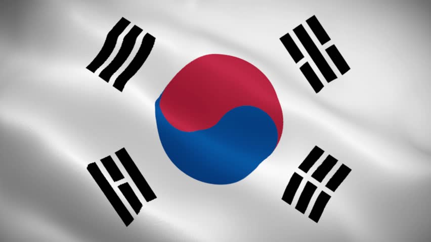 South Korea flag waving in the wind animation background. High quality 4K seamless loop video