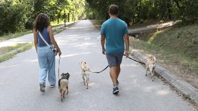 Couple walking dogs in the park - Powered by Shutterstock - Get 15% off with code: PIKWIZARD15