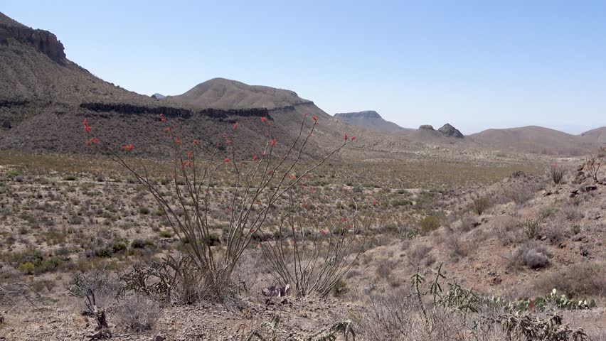 The arid landscape in the Big Bend National Park, Texas