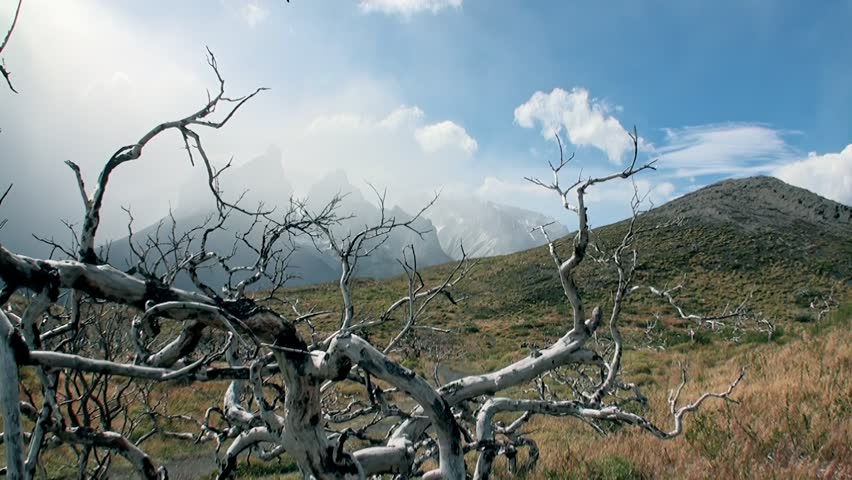 Explore Patagonia, Argentinas stunning mountain lakes, unique trees, and dramatic skies. Discover its fascinating biodiversity and rugged landscapes, making this pristine region perfect for adventure