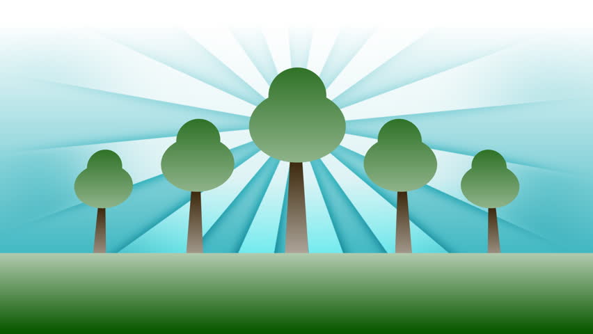 A group of trees under a warm summer sky.