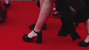 Red carpet with ropes and golden barriers on a luxury party entrance, cinema premiere film festival event award gala ceremony, wealthy rich guests arriving, outdoor decoration elements, summer day - Powered by Shutterstock - Get 15% off with code: PIKWIZARD15