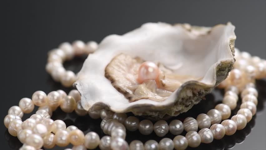 Pearls, Natural pearl inside the oyster shell, close up, necklace rotating over black background. Nacre. Mother-of-pearl. Slow motion