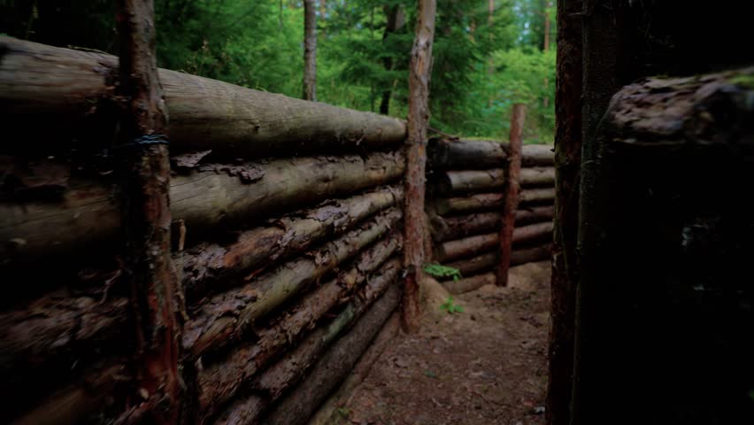A historic wooden trench partially overgrown with moss, nestled in a dense forest, offering a glimpse into the past conflicts.