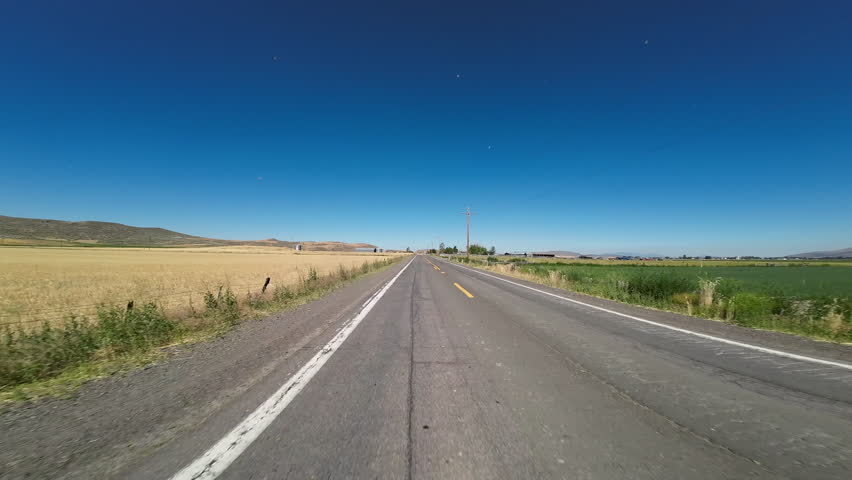 Oregon and California Stateline Mormon Crickets Swarm Volcanic Legacy Scenic Byway Eastbound 01 Rear View Driving Plates USA Ultra Wide