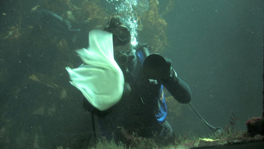 MONTERREY, CALIFORNIA, JUN 03, 2008: Scuba diver cleaning aquarium tank on June