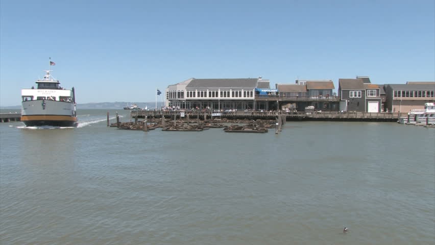 SAN FRANCISCO, JUNE 02, 2008: Ship passing sea lions at Pier 39 on June 3rd,