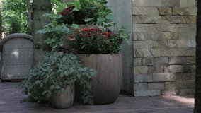 veranda with garden swing is decorated with fall decor and chrysanthemums - Powered by Shutterstock - Get 15% off with code: PIKWIZARD15