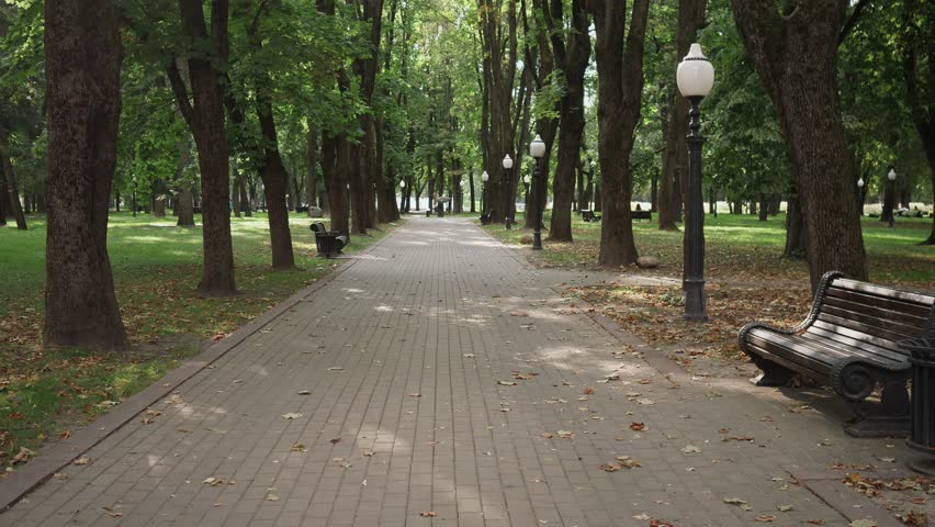 empty city park in summer background