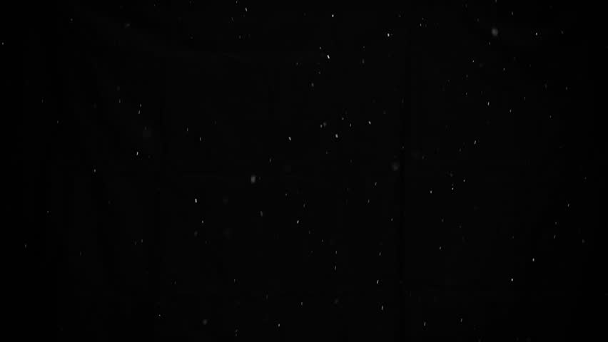 Shutterstock Video