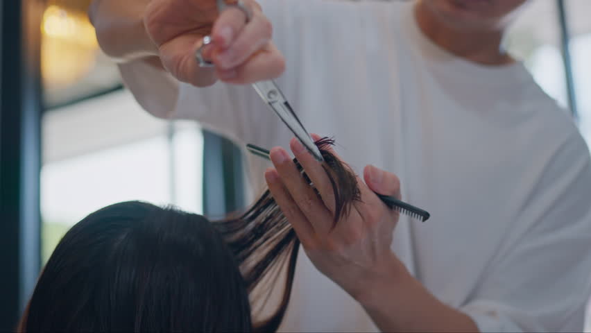 Closeup - Professional stylist cutting woman's hair in salon, Hairdresser trimming black hair with scissors.