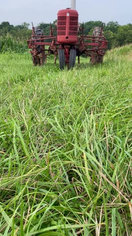 Vertical video clip of an old tractor in the corn field in Central Kentucky