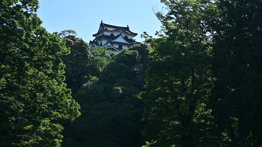 HIKONE-JO castle at early summer (HIKONE, SHIGA, 2024, Jun.)