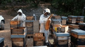 Beekeepers manage hives while surrounded by active bees, showcasing the delicate art of beekeeping during a sunny day. - Powered by Shutterstock - Get 15% off with code: PIKWIZARD15