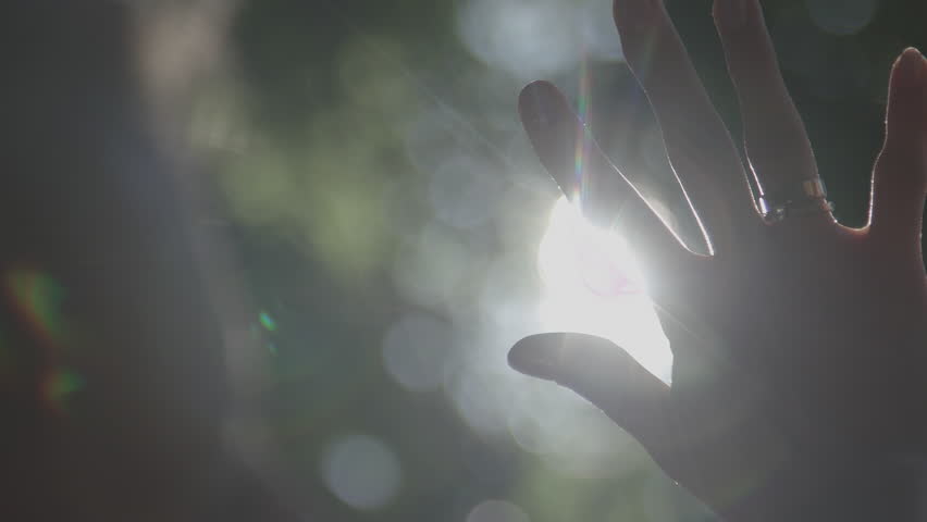 A Hand Illuminated While Reaching Towards Warm Sunlight Nestled Within Natures Embrace